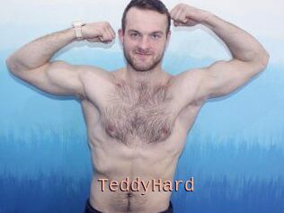 TeddyHard