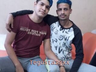 Tegusta29xx
