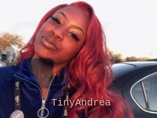 TinyAndrea