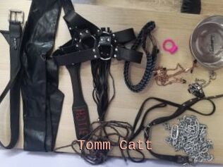 Tomm_Catt