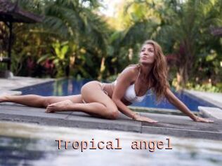 Tropical_angel