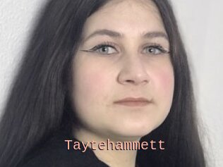 Taytehammett