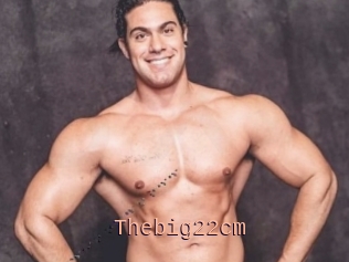 Thebig22cm