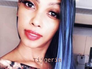 Tijgerin