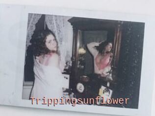 Trippingsunflower