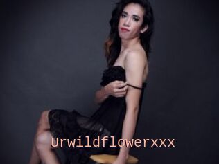 Urwildflowerxxx