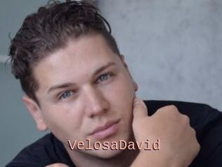 VelosaDavid