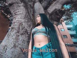 Venus_Walton