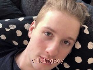 VikingBoy