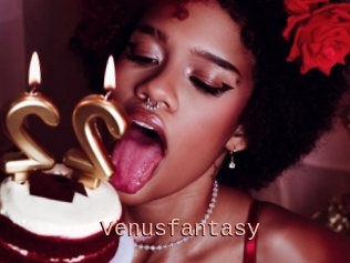 Venusfantasy