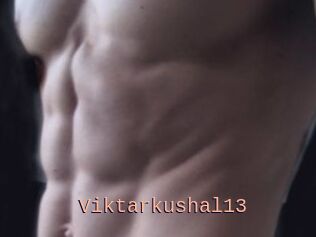 Viktarkushal13