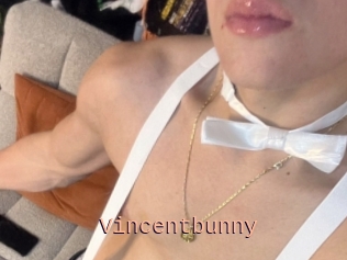 Vincentbunny