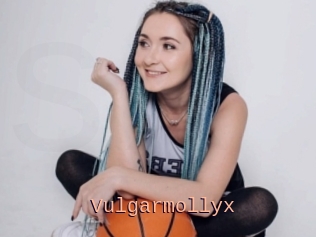 Vulgarmollyx