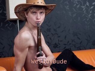 WesleyDude