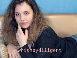 Whitneydiligent
