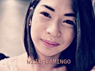 WildFLAMINGO