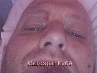 Wildsparky69