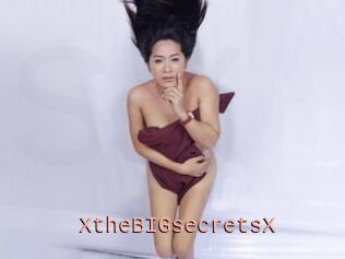 XtheBIGsecretsX