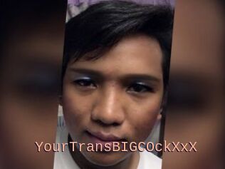 YourTransBIGCOckXxX