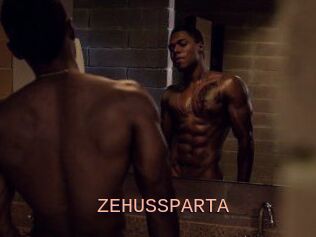 ZEHUS_SPARTA