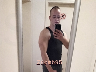 Zsomb95